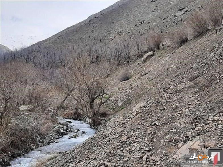 سقوط مرگبار کوهنورد در جاده سولقان