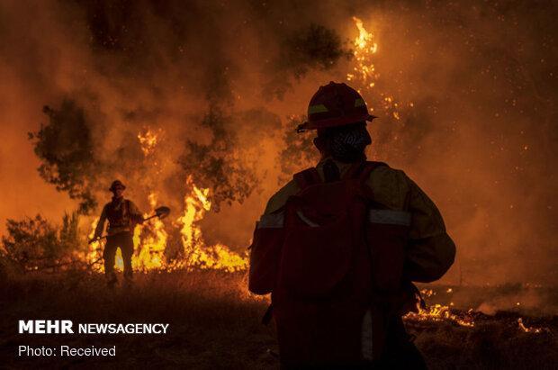 تداوم آتش سوزی در کالیفرنیا، ترامپ شرایط فوق العاده گفت