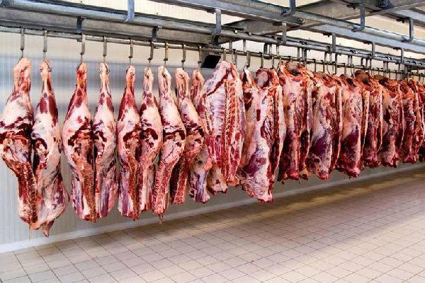 افزایش عرضه گوشت قرمز در شهریور 1400