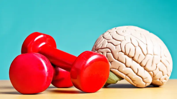 چند عامل مهم برای حفظ سلامت مغز همزمان با افزایش سن