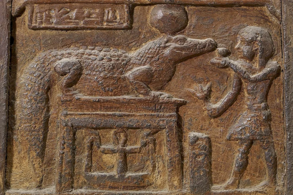 راز تمساح های کشف شده در گورهای مصری