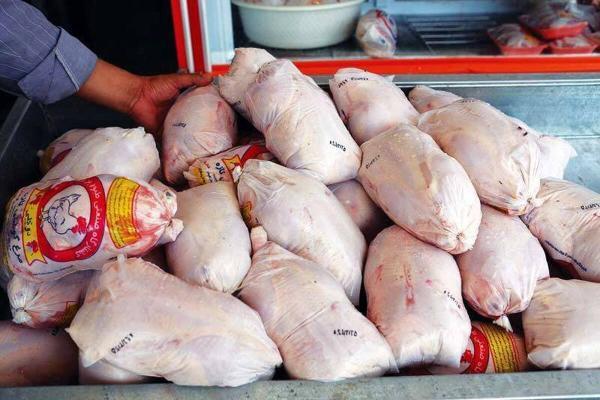 قیمت گوشت مرغ کاهش می یابد
