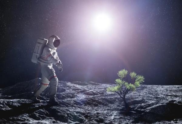زراعت پنبه و کلزا روی ماه، چگونه آینده بشر را شکل می دهد؟
